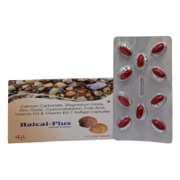 HAICAL PLUS
