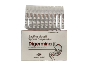 DIGERMINA